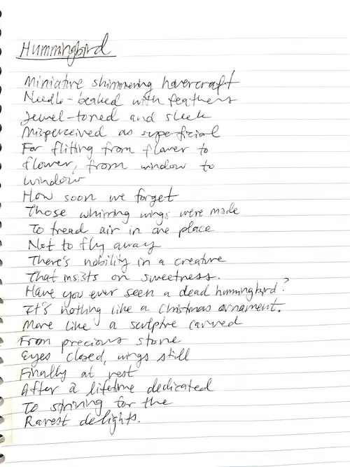 Hummingbird